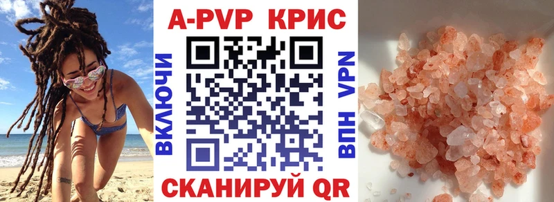 Alfa_PVP СК КРИС Коряжма