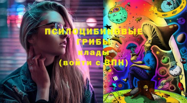 первитин Алексин