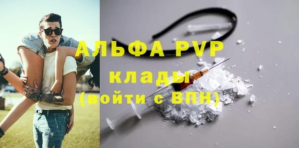 гашик Алексеевка