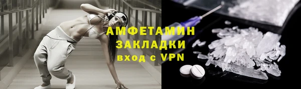 стаф Алзамай
