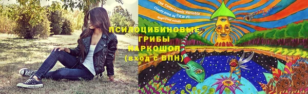 гашик Алексеевка