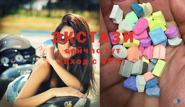 стаф Алзамай