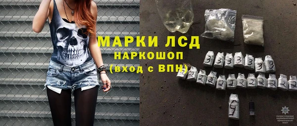 стаф Алзамай