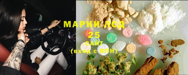 ГАЛЛЮЦИНОГЕННЫЕ ГРИБЫ Покров