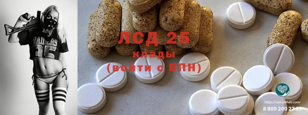 стаф Алзамай