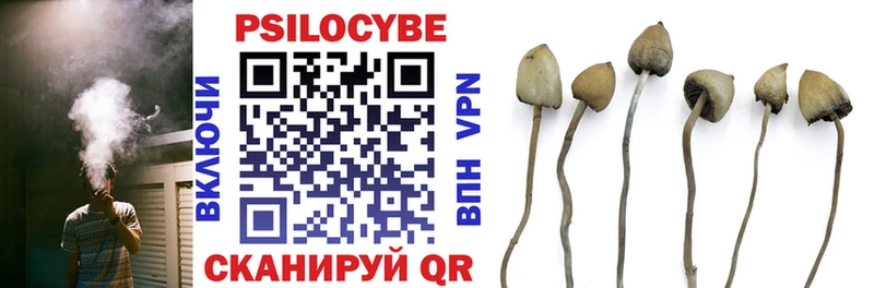 Псилоцибиновые грибы прущие грибы  мега ссылка  Коряжма 