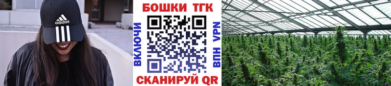 купить сайты Коряжма ссылка на мегу маркетплейс Шишки марихуана Ganja